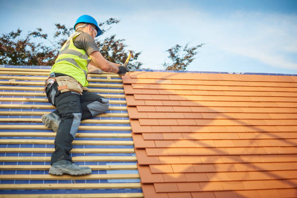 Best Metal Roofing Installation  in Big Lake, TX